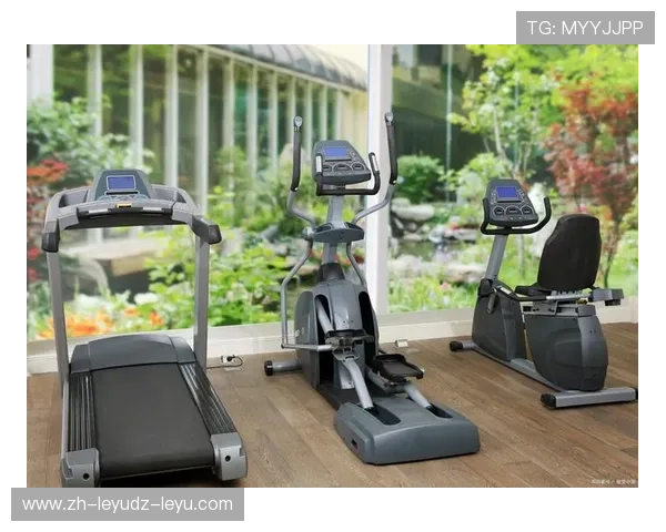 美国模式综合健身器材设计理念及应用分析