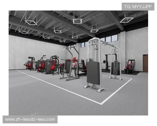 预算内打造家庭健身房：热门器材价格对比