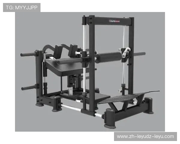 高端健身器材品牌推荐，助你打造完美身材与健康生活